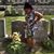 Frances Garcia's profile image