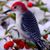 Helen Daugherty's profile image
