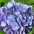 Jennifer Clark Yount's profile image