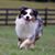 Stacey Deshkulkarni's profile image