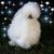 Tracy Jenner's profile image