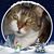 Dulcie Gage's profile image