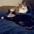 Monica D'Arcangelo's profile image
