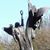 Gary W Shipp's profile image
