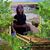 Arlen Castillo Poveda's profile image