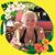 Anja Hartmann Kraemer's profile image