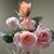 Sally Goodhart's profile image