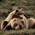 Vicki Haupt's profile image