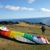 Shari Leuba Hooper's profile image