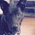 Barbara Schreyer Hughes's profile image