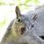 Laura Thompson's profile image