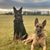 David L. Meyer's profile image