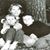 Sherry VerPloeg's profile image