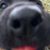 Wayne Brown's profile image