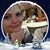 Kathy Bailey's profile image