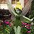 Sandra Benoit's profile image