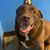 Tom Auger's profile image