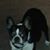 Louise Drouin's profile image