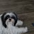 Marge Hadley's profile image