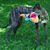 Jey Flick's profile image