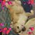 Cory Hiatt's profile image