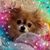 Laura Belcher's profile image