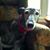 Terry Burgess's profile image