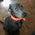 Jodi Bensyl's profile image
