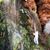 D'Anna K. Bittner's profile image
