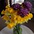 Sheri Hannah-Ruh's profile image