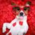 Debbie Fernandez Hart's profile image