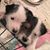 Joyce Dunbar Warshaw's profile image