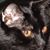 Troy D Teske's profile image