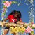 Delinda Patiño's profile image