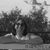 Donna Crotty's profile image