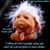 Lauri Lulu Smith-Davidson's profile image