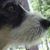 Nancy Huiet's profile image