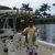 Jose M Alegre's profile image