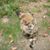 Micky Clute's profile image