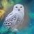 Susan Phillips's profile image