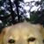 Michael Sullivan's profile image