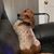 Crystal L Yarbrough's profile image