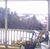 Sharon McCoy Williamson's profile image