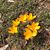 Sheila Estep Trelawny's profile image