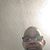 Michael Carnell's profile image