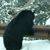 Eric Myrstol's profile image