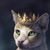 Nohaytraduccion Sv's profile image