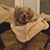Lynette Eschete's profile image