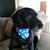 Sherry Benzmiller's profile image