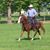 Craig Lentz Sr.'s profile image